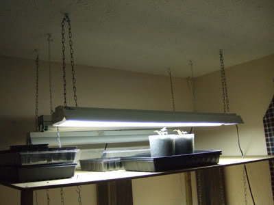 Hanging grow lights from on sale ceiling